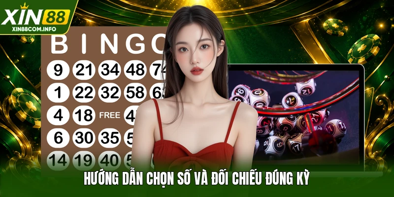 Hướng dẫn chọn số và đối chiếu đúng kỳ