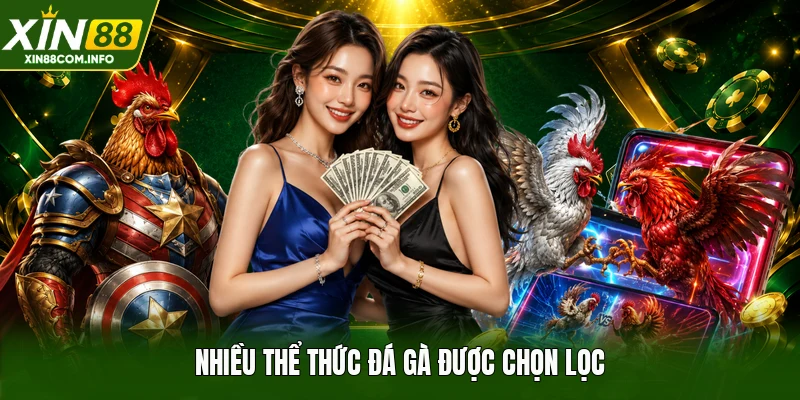 Nhiều thể thức đá gà được chọn lọc